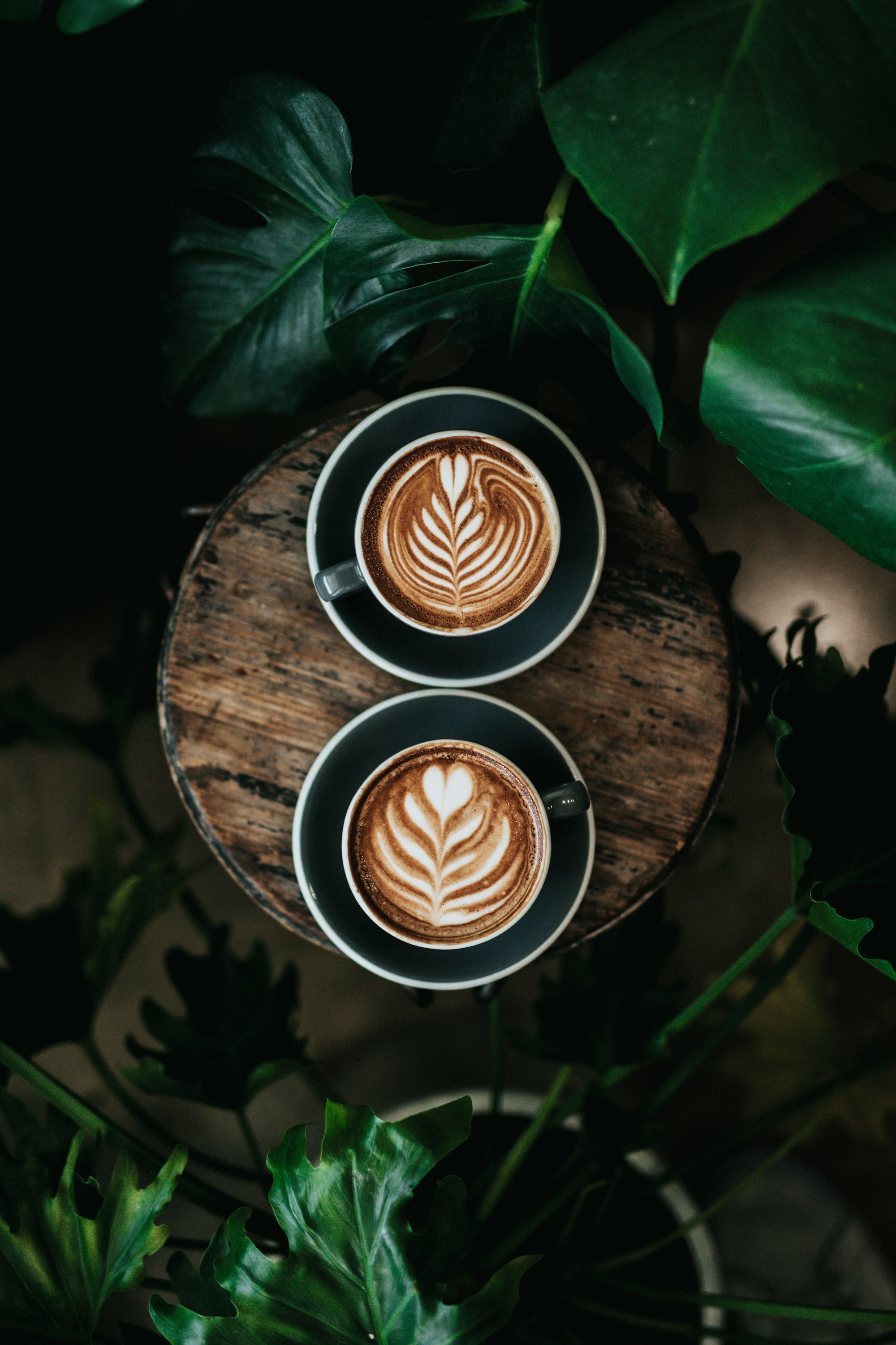 Coffee being poured in a quiet atelier